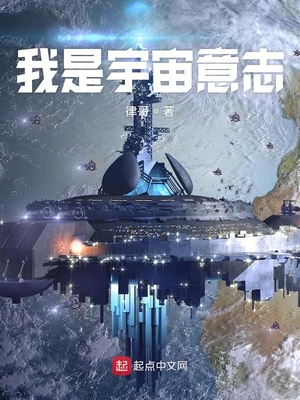 我是宇宙意志